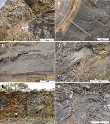 New Facies Model and Carbon Isotope Stratigraphy for an Ediacaran Carbonate Platform From South America (Tamengo Formation—Corumbá Group, SW Brazil)